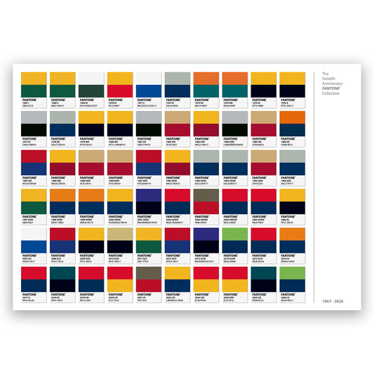 60 x World Champions - Colour Swatch Art - American Football Print - Fan Gift