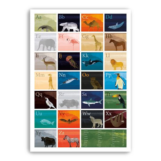 The Wildlife Alphabet Poster - Nursery Print - Educational Art - Nature, Animals, Sealife, Birds, Safari, Marine Life (Various Sizes)