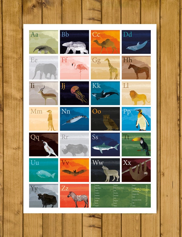 The Wildlife Alphabet Poster - Nursery Print - Educational Art - Nature, Animals, Sealife, Birds, Safari, Marine Life (Various Sizes)